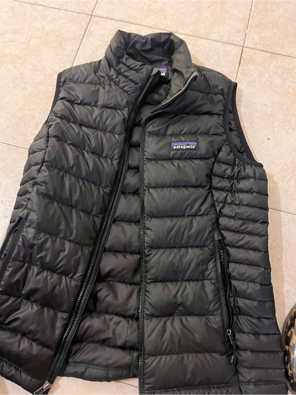 Patagonia Black Puffer Down Vest